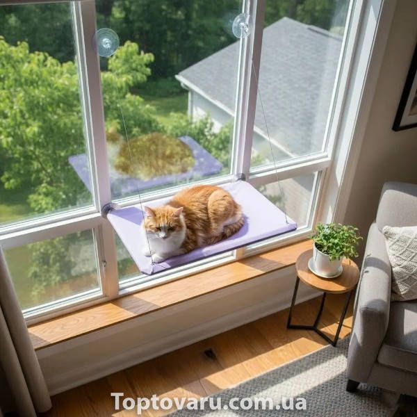 Лежанка для кошек на окно с присосками Window Mounted Cat Bed Фиолетовая 34671 фото