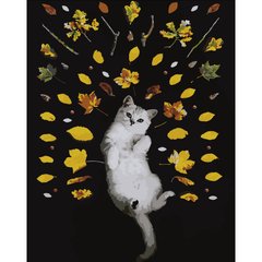 Картина за номерами Strateg ПРЕМІУМ Осінній котик розміром 40х50 см (DY062) DY062-00002 фото