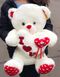 Плюшевий ведмедик Білий великий з червоними лапками в подарунковій упаковці NEW фото 2