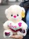 Плюшевий ведмедик маленький Молочний з рожевим в подарунковій упаковці NEW фото 2