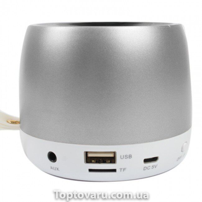 Портативна акустична Bluetooth колонка Hopestar H17 Silver 1043 фото