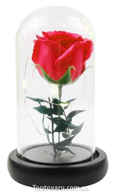 Роза в колбі з LED підсвічуванням МАЛЕНЬКА №A51 червона 1496 фото