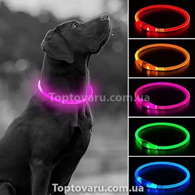 Универсальный светящийся ошейник для собак Trox TR-35 Прозрачный 11346 фото