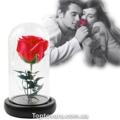 Роза в колбе с LED подсветкой МАЛЕНЬКАЯ №A51 красная 1496 фото