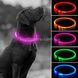Универсальный светящийся ошейник для собак Trox TR-35 Прозрачный 11346 фото 2