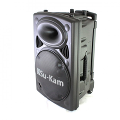 Колонка Su-Kam BT 150D + 2 микрофона 12v\220v 10131 фото