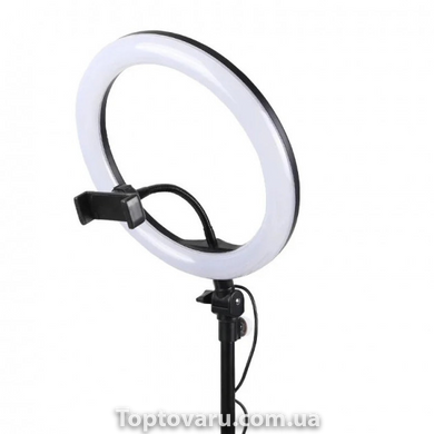 Світлодіодна кільцева лампа Ring Fill Light RL 12 /CXB-300 (діаметр 30 см) 3820 фото