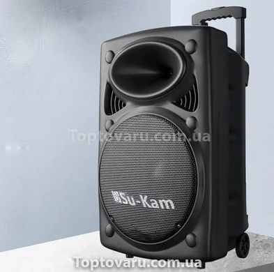 Колонка Su-Kam BT 150D + 2 микрофона 12v\220v 10131 фото