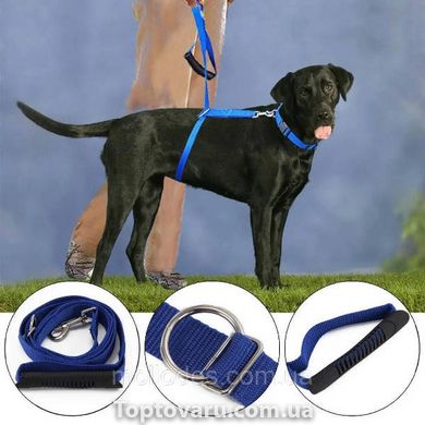 Повідець для великих собак (30кг+) The Instant Trainer Leash Синій 14645 фото