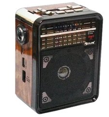 Радіоприймач Golon RX-9100 c Ліхтариком MP3 USB FM SD 11500 фото