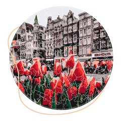 Дерев'яні пазли Тюльпани Амстердама (Розмір L) BP01L 13179 фото