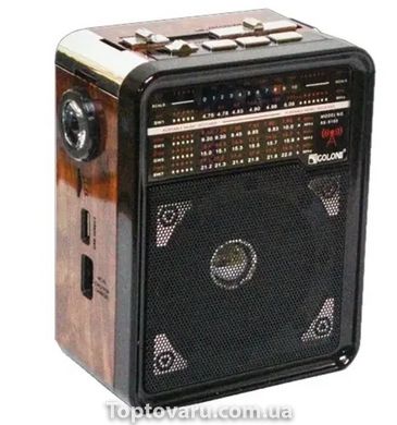 Радіоприймач Golon RX-9100 c Ліхтариком MP3 USB FM SD 11500 фото