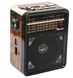 Радіоприймач Golon RX-9100 c Ліхтариком MP3 USB FM SD 11500 фото 1