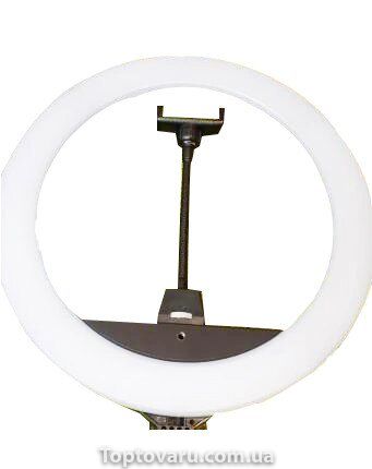 Кольцевая светодиодная лампа RING LIGHT ZB-R14 35 см 2151 фото