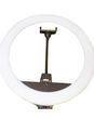 Кольцевая светодиодная лампа RING LIGHT ZB-R14 35 см