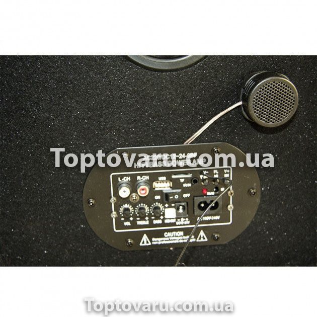 Сабвуфер активний автомобільний 10 "500 ват Bluetooth 12/24 / 220v XDXQ 1908 фото