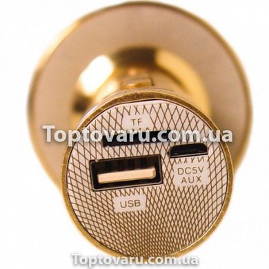 Караоке-мікрофон DM Karaoke YS 66 Bluetooth Золотий 6074 фото