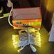 Гірлянда вулична лінійна 5м 80led 220V 4481 AND 4-20 Білий провід, тепле світло 31159 фото 10
