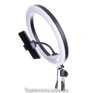 Светодиодная кольцевая лампа Ring Fill Light RL 12/QX300 (диаметр 30 см) 3291 фото