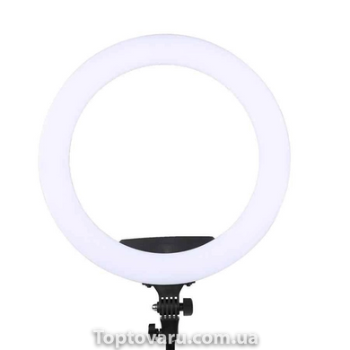 Світлодіодна кільцева лампа Ring Fill Light RL 12 / QX300 (діаметр 30 см) 3291 фото