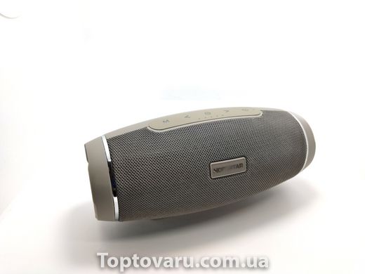 Портативна Bluetooth колонка Hopestar H27 з вологозахистом Сіра 1170 фото