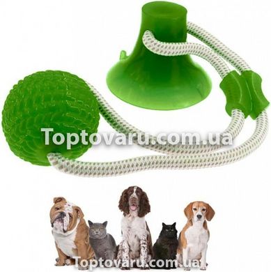 Іграшка для собак канат на присосці з м'ячем Pet molar toys Зелена 5448 фото