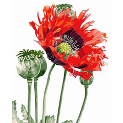 Картина по номерам Strateg ПРЕМИУМ Маковый цветок размером 40х50 см (GS070) GS070-00002 фото