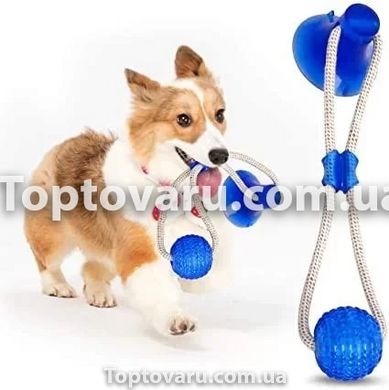 Іграшка для собак канат на присосці з м'ячем Pet molar toys Синя 5446 фото