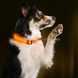 Ошейник для собак светодиодный LED Оранжевый размер M 12439 фото 3