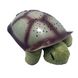 Нічник - проектор черепаха Turtle Night Sky Зелений 1248 фото 2