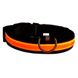 Ошейник для собак светодиодный LED Оранжевый размер M 12439 фото 1