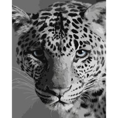 Картина за номерами Strateg ПРЕМІУМ Леопард з лаком розміром 40х50 см (SY6668) SY6668-00002 фото