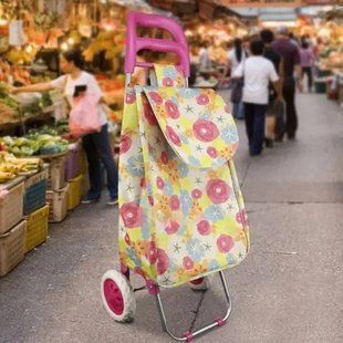 Сумка-тележка на колесиках хозяйственная 307 C Разноцветная 34595 фото