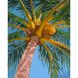 Картина по номерам Strateg ПРЕМИУМ Кокосы на пальме размером 40х50 см (GS712) GS712-00002 фото 1