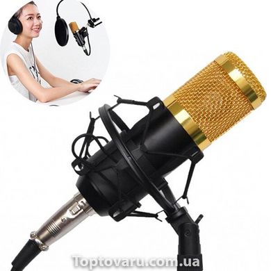 Мікрофон студійний DM-800 Золотий 3019 фото