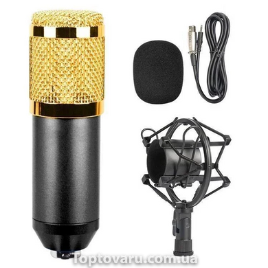 Мікрофон студійний DM-800 Золотий 3019 фото