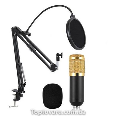 Мікрофон студійний DM-800U Золотий 3020 фото