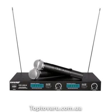 Бездротова радіосистема на два мікрофона DM 88 LX III Чорна 6069 фото