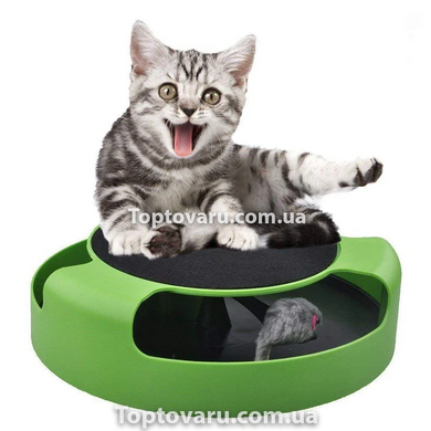 Игрушка для кота Catch The Mouse Зеленый 4570 фото