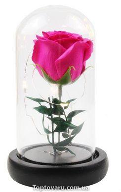 Роза в колбе с LED подсветкой МАЛЕНЬКАЯ №A51 розовая 1497 фото