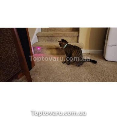 Ошейник с лазером для кошек Laser Projection Magical Temptation 14326 фото
