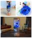 Троянда в колбі з LED підсвічуванням Велика №A52 синя NEW фото 6