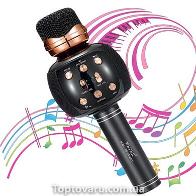Мікрофон караоке Karaoke DM WS 2911 Чорний 5587 фото
