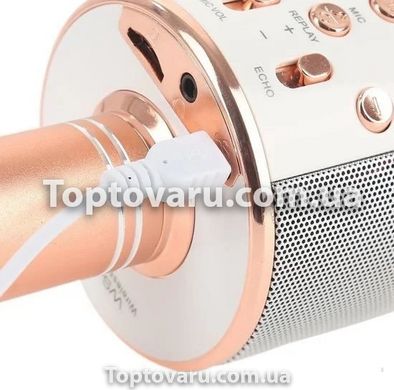 Караоке - мікрофон WS 858 microSD FM радіо Рожеве золото 6602 фото
