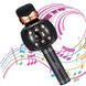 Мікрофон караоке Karaoke DM WS 2911 Чорний 5587 фото 1