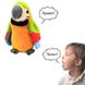 Интерактивная игрушка Говорящий Попугай - повторюха Зелёный 2843 фото 1