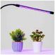 Фито лампа Led Plant Grow Leight USB Одинарная 10758 фото 6