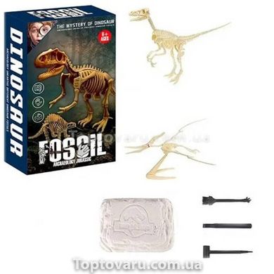 Набор детский для раскопок Динозавры с набором инструментов 222-9 Fossil 17629 фото