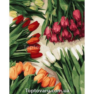Премиум картина по номерам Разноцветные тюльпаны PGX37544 13824 фото