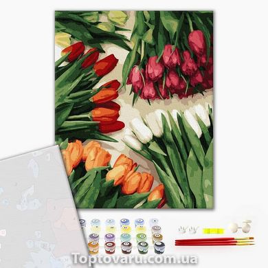 Премиум картина по номерам Разноцветные тюльпаны PGX37544 13824 фото